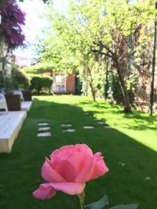 Costa Bodrum City - 52