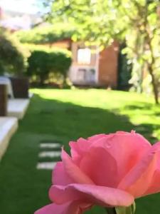 Costa Bodrum City - 53