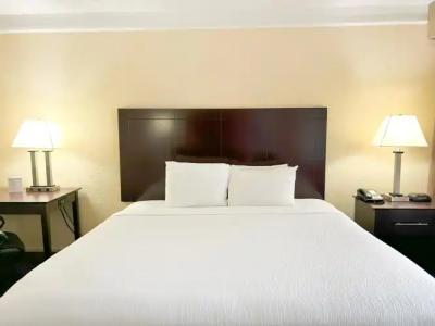 Quality Inn Orlando Near International Drive - 5
