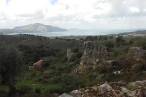 Maxola's Dream Orikum, Orik