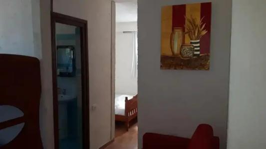 Maxola's Dream Orikum - 26