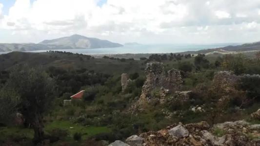 Maxola's Dream Orikum - 0