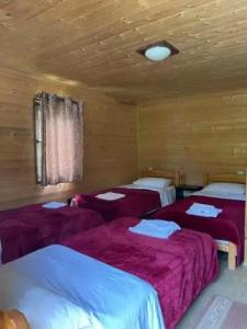 Thethi Paradise - 21