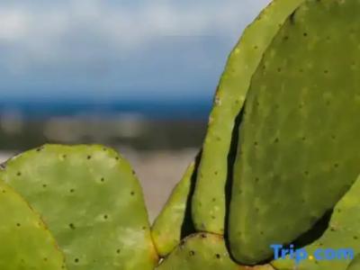 BED&BREAD Piazza 'Nzegna - 109