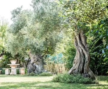 Astra Bed  Breakfast - 12