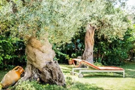 Astra Bed  Breakfast - 29