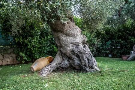 Astra Bed  Breakfast - 22