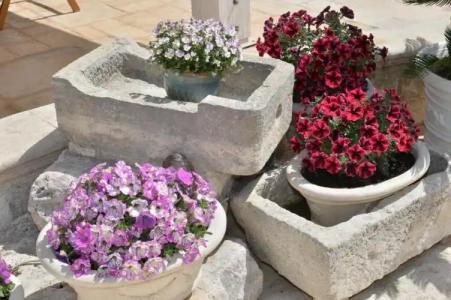 Astra Bed  Breakfast - 41