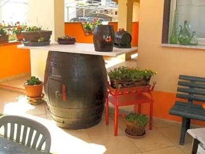 Le Coccinelle di Maria - 11