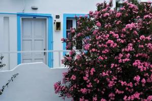 Palma Hotel, Guembet