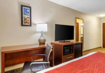 Comfort Inn & Suites Macon North I-75 - 33