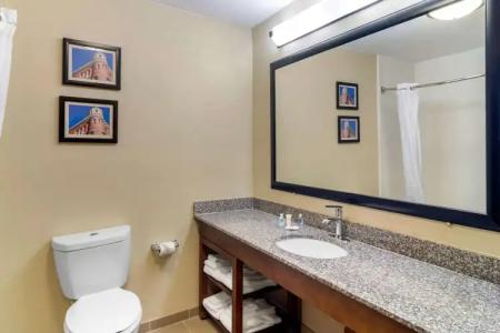 Comfort Inn & Suites Macon North I-75 - 8