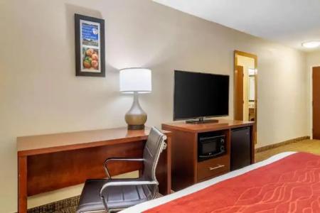 Comfort Inn & Suites Macon North I-75 - 40