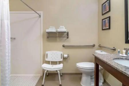 Comfort Inn & Suites Macon North I-75 - 9