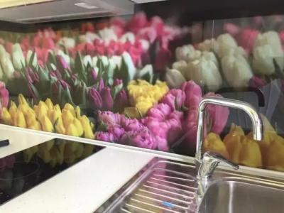 Dream Boutique Apartments - 19