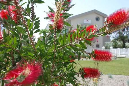 Dream Boutique Apartments - 11