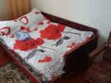Bunk Bed in Mixed Dormitory Room