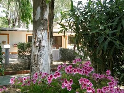 La Fattoria Park - 18