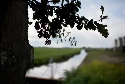 In de Oude Zagerij - I Saw - 18