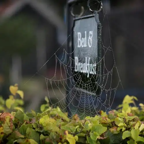 In de Oude Zagerij - I Saw - 36