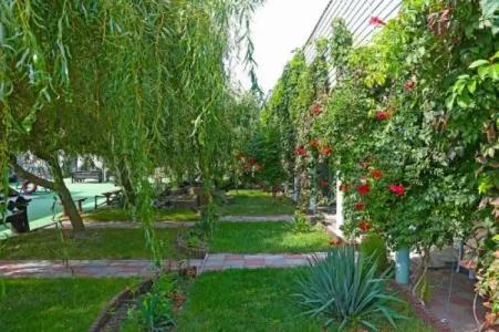 Pansionat Calipso - 16