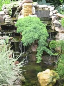 Pansionat Calipso - 19