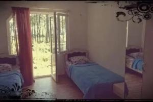 Guest House «Homestay Kvantaliani Shekvetili», Shekhvetili
