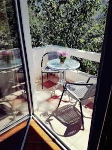 Guesthouse Berlin - 8