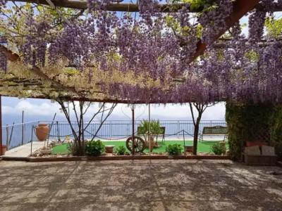 Residence Eden - 30