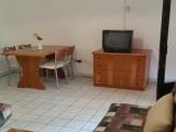 1 Bedroom Basement Apartment