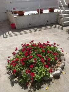 villa lucia - 18