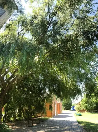 Irida Tourist base - 14