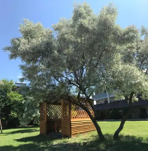 Irida Tourist base - 9