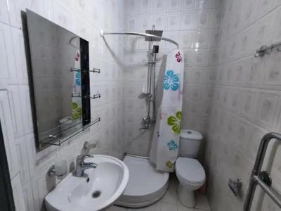 Guesthouse White Swan - 8