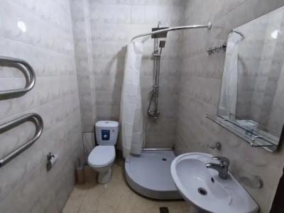 Guesthouse White Swan - 7