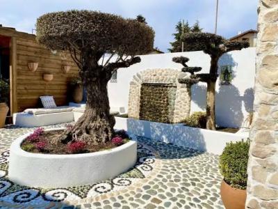 Casa de Oro Aparthotel - 16