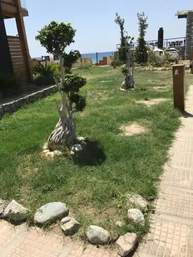 Privilege Beach - 27