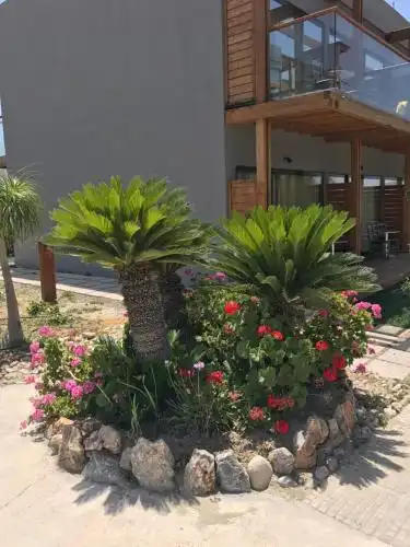 Privilege Beach - 11