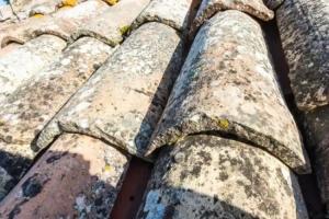 Agriturismo La Corte del Lupo, Nocera Umbra