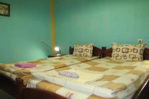 Pri Orehite Guesthouse
