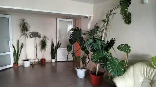 Svetlogorsk JBIK - 9