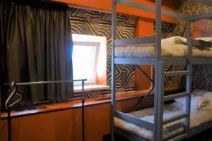 Hostel Silver Owl, Moscow