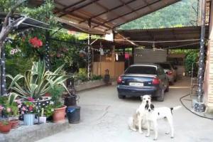 Guesthouse Bagira, Novyjj Afon