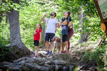 Princesa Parc Excellence - 30