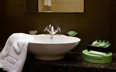 Premier Luxury Mountain Resort - 250