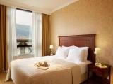 Executive room with mountain view