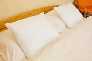 Wellness Penzion U Muzea Guest house, Liberec