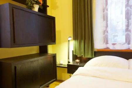 Wellness Penzion U Muzea - 51