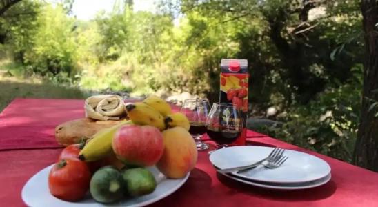 Diligence & Restaurant - 14