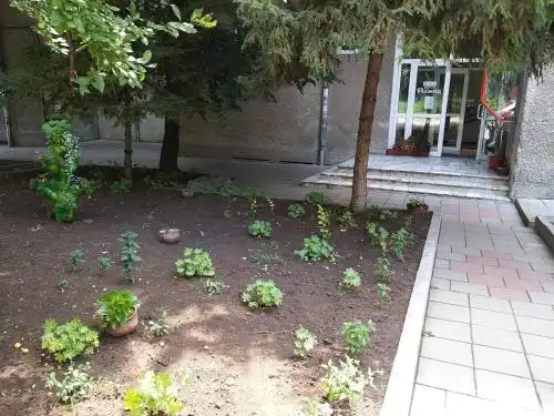 Rositsa - 0